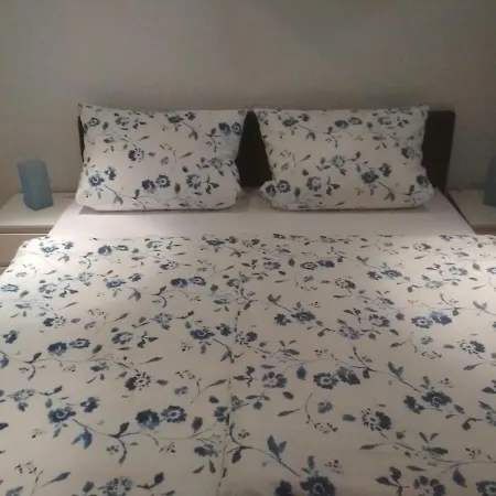 Gaestehaus Zur Faehre * קוסוויג